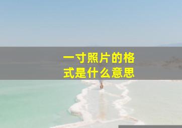 一寸照片的格式是什么意思