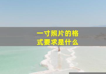 一寸照片的格式要求是什么