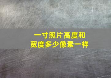 一寸照片高度和宽度多少像素一样