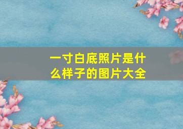 一寸白底照片是什么样子的图片大全