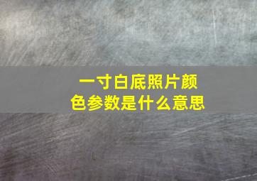 一寸白底照片颜色参数是什么意思