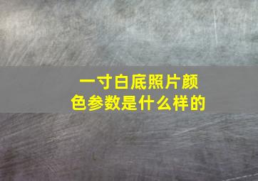 一寸白底照片颜色参数是什么样的