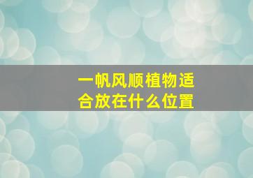 一帆风顺植物适合放在什么位置