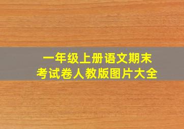 一年级上册语文期末考试卷人教版图片大全