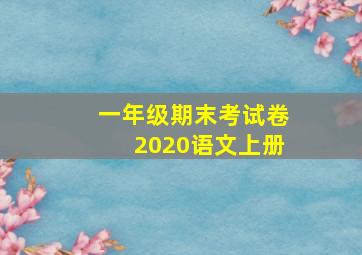 一年级期末考试卷2020语文上册