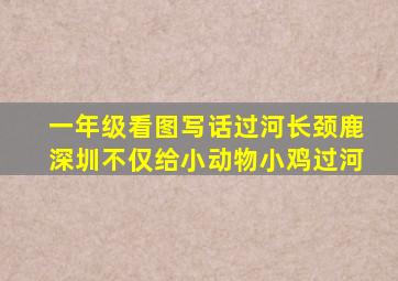 一年级看图写话过河长颈鹿深圳不仅给小动物小鸡过河