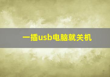 一插usb电脑就关机