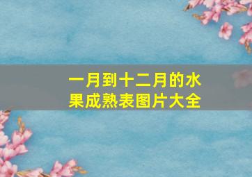 一月到十二月的水果成熟表图片大全