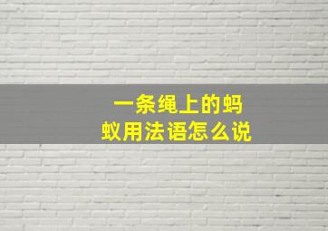 一条绳上的蚂蚁用法语怎么说