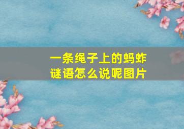 一条绳子上的蚂蚱谜语怎么说呢图片