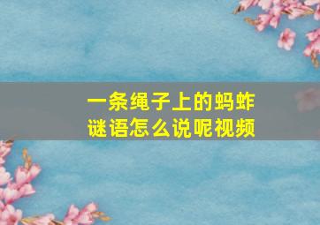 一条绳子上的蚂蚱谜语怎么说呢视频