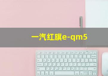 一汽红旗e-qm5