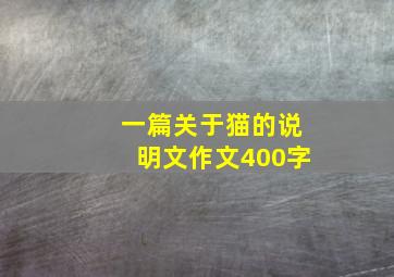 一篇关于猫的说明文作文400字