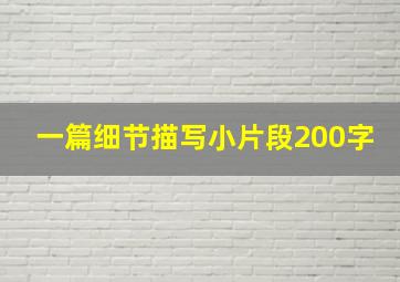 一篇细节描写小片段200字