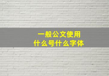 一般公文使用什么号什么字体