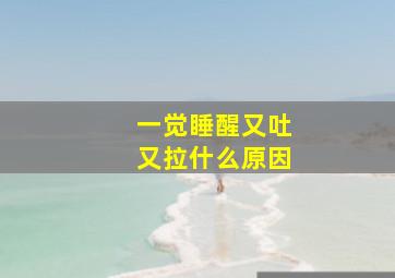 一觉睡醒又吐又拉什么原因