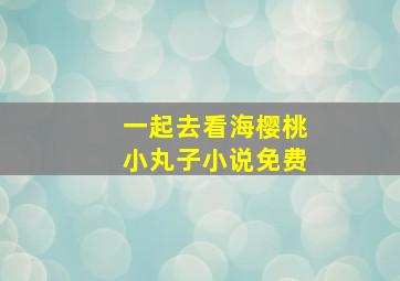 一起去看海樱桃小丸子小说免费