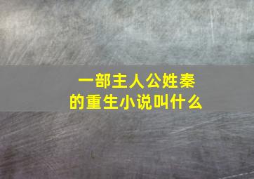 一部主人公姓秦的重生小说叫什么