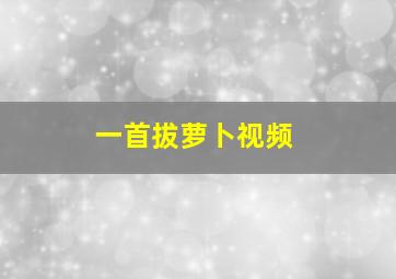 一首拔萝卜视频