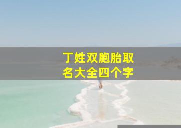 丁姓双胞胎取名大全四个字