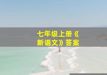 七年级上册《新语文》答案