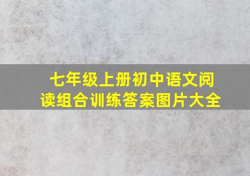 七年级上册初中语文阅读组合训练答案图片大全