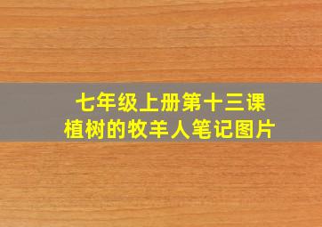 七年级上册第十三课植树的牧羊人笔记图片