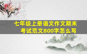 七年级上册语文作文期末考试范文800字怎么写