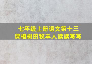 七年级上册语文第十三课植树的牧羊人读读写写