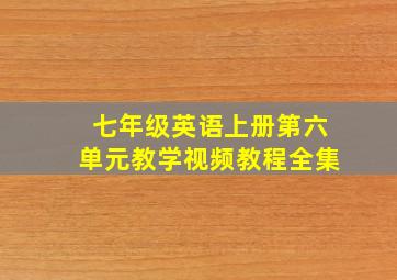 七年级英语上册第六单元教学视频教程全集