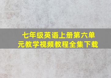 七年级英语上册第六单元教学视频教程全集下载