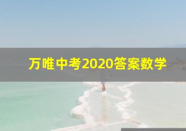 万唯中考2020答案数学