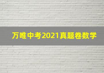 万唯中考2021真题卷数学