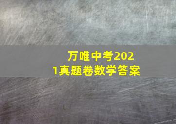 万唯中考2021真题卷数学答案