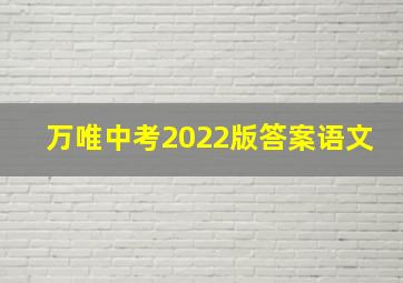 万唯中考2022版答案语文