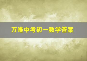 万唯中考初一数学答案