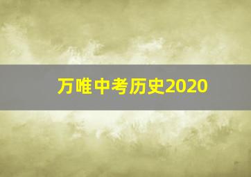 万唯中考历史2020