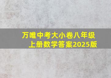 万唯中考大小卷八年级上册数学答案2025版