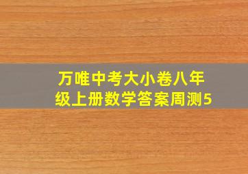 万唯中考大小卷八年级上册数学答案周测5