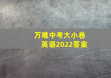 万唯中考大小卷英语2022答案