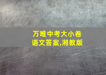 万唯中考大小卷语文答案,湘教版