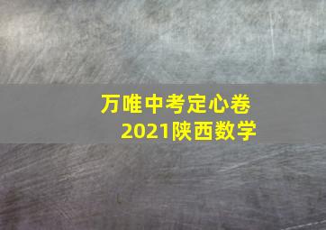 万唯中考定心卷2021陕西数学