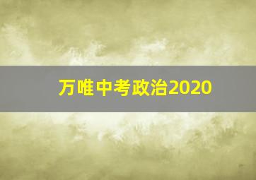 万唯中考政治2020