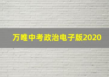 万唯中考政治电子版2020