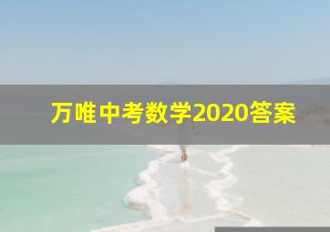 万唯中考数学2020答案