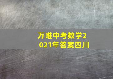 万唯中考数学2021年答案四川