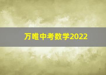 万唯中考数学2022