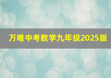 万唯中考数学九年级2025版