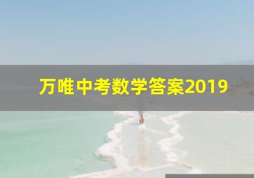 万唯中考数学答案2019