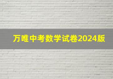 万唯中考数学试卷2024版